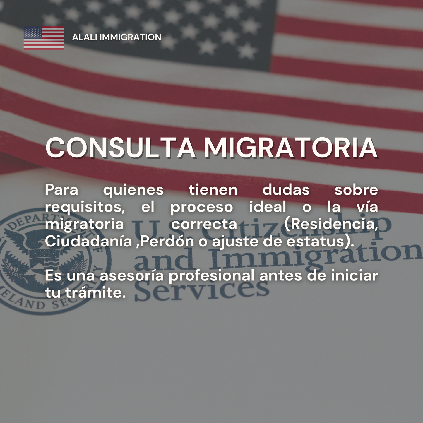 Consulta Migratoria